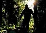 Sasquatch Odyssey: The Hunt for Bigfoot
